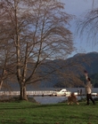 1998_-_Air_Bud_Golden_Receiver_mp41061.jpg
