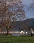 1998_-_Air_Bud_Golden_Receiver_mp41066.jpg