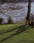 1998_-_Air_Bud_Golden_Receiver_mp41082.jpg