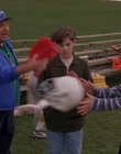 1998_-_Air_Bud_Golden_Receiver_mp41272.jpg