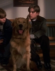 1998_-_Air_Bud_Golden_Receiver_mp41456.jpg