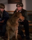 1998_-_Air_Bud_Golden_Receiver_mp41458.jpg