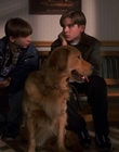 1998_-_Air_Bud_Golden_Receiver_mp41459.jpg