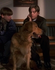 1998_-_Air_Bud_Golden_Receiver_mp41461.jpg