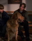 1998_-_Air_Bud_Golden_Receiver_mp41462.jpg