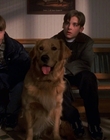1998_-_Air_Bud_Golden_Receiver_mp41463.jpg