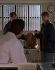 1998_-_Air_Bud_Golden_Receiver_mp41487.jpg