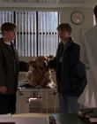 Filename=1998_-_Air_Bud_Golden_Receiver_mp41489.jpg
Filesize=773KiB
Dimensions=1920x1080
Date added=Dec 29, 2023 1998_-_Air_Bud_Golden_Receiver_mp41489.jpg