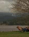 1998_-_Air_Bud_Golden_Receiver_mp41627.jpg