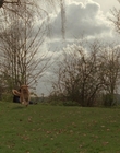 1998_-_Air_Bud_Golden_Receiver_mp41628.jpg