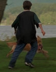 Filename=1998_-_Air_Bud_Golden_Receiver_mp41669.jpg
Filesize=719KiB
Dimensions=1920x1080
Date added=Dec 29, 2023 1998_-_Air_Bud_Golden_Receiver_mp41669.jpg