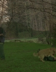 1998_-_Air_Bud_Golden_Receiver_mp41680.jpg