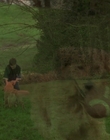 1998_-_Air_Bud_Golden_Receiver_mp41687.jpg