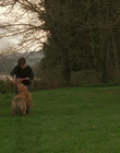 1998_-_Air_Bud_Golden_Receiver_mp41689.jpg