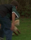 1998_-_Air_Bud_Golden_Receiver_mp41698.jpg
