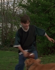1998_-_Air_Bud_Golden_Receiver_mp41700.jpg