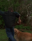 1998_-_Air_Bud_Golden_Receiver_mp41701.jpg