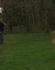 1998_-_Air_Bud_Golden_Receiver_mp41703.jpg