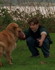 1998_-_Air_Bud_Golden_Receiver_mp41707.jpg