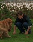 Filename=1998_-_Air_Bud_Golden_Receiver_mp41708.jpg
Filesize=1093KiB
Dimensions=1920x1080
Date added=Dec 29, 2023 1998_-_Air_Bud_Golden_Receiver_mp41708.jpg