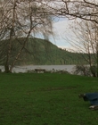 1998_-_Air_Bud_Golden_Receiver_mp41710.jpg