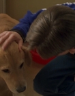 1998_-_Air_Bud_Golden_Receiver_mp41724.jpg