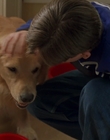1998_-_Air_Bud_Golden_Receiver_mp41726.jpg