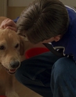 1998_-_Air_Bud_Golden_Receiver_mp41727.jpg