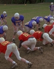 1998_-_Air_Bud_Golden_Receiver_mp42177.jpg