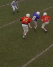 1998_-_Air_Bud_Golden_Receiver_mp42214.jpg
