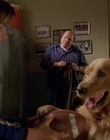 1998_-_Air_Bud_Golden_Receiver_mp42357.jpg