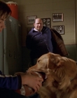 1998_-_Air_Bud_Golden_Receiver_mp42360.jpg