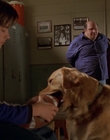 1998_-_Air_Bud_Golden_Receiver_mp42361.jpg