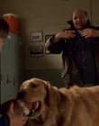 1998_-_Air_Bud_Golden_Receiver_mp42363.jpg