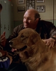 1998_-_Air_Bud_Golden_Receiver_mp42371.jpg