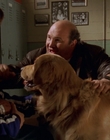 1998_-_Air_Bud_Golden_Receiver_mp42372.jpg