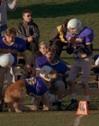 1998_-_Air_Bud_Golden_Receiver_mp42632.jpg