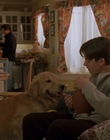 Filename=1998_-_Air_Bud_Golden_Receiver_mp42831.jpg
Filesize=805KiB
Dimensions=1920x1080
Date added=Dec 29, 2023 1998_-_Air_Bud_Golden_Receiver_mp42831.jpg