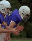 1998_-_Air_Bud_Golden_Receiver_mp42972.jpg