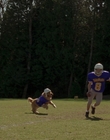 1998_-_Air_Bud_Golden_Receiver_mp42973.jpg