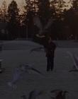 1998_-_Air_Bud_Golden_Receiver_mp43588.jpg