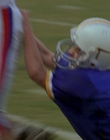 1998_-_Air_Bud_Golden_Receiver_mp43990.jpg