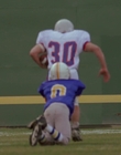 1998_-_Air_Bud_Golden_Receiver_mp43993.jpg
