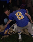 1998_-_Air_Bud_Golden_Receiver_mp44689.jpg