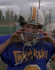 1998_-_Air_Bud_Golden_Receiver_mp44738.jpg