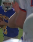 1998_-_Air_Bud_Golden_Receiver_mp44846.jpg