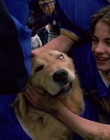Filename=1998_-_Air_Bud_Golden_Receiver_mp44982.jpg
Filesize=779KiB
Dimensions=1920x1080
Date added=Dec 29, 2023 1998_-_Air_Bud_Golden_Receiver_mp44982.jpg