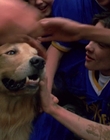Filename=1998_-_Air_Bud_Golden_Receiver_mp44986.jpg
Filesize=672KiB
Dimensions=1920x1080
Date added=Dec 29, 2023 1998_-_Air_Bud_Golden_Receiver_mp44986.jpg