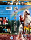 Filename=NicoTheUnicorn_28129.jpg
Filesize=126KiB
Dimensions=585x413
Date added=Dec 29, 2023 NicoTheUnicorn_28129.jpg