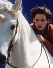 NicoTheUnicorn_28529.jpg
